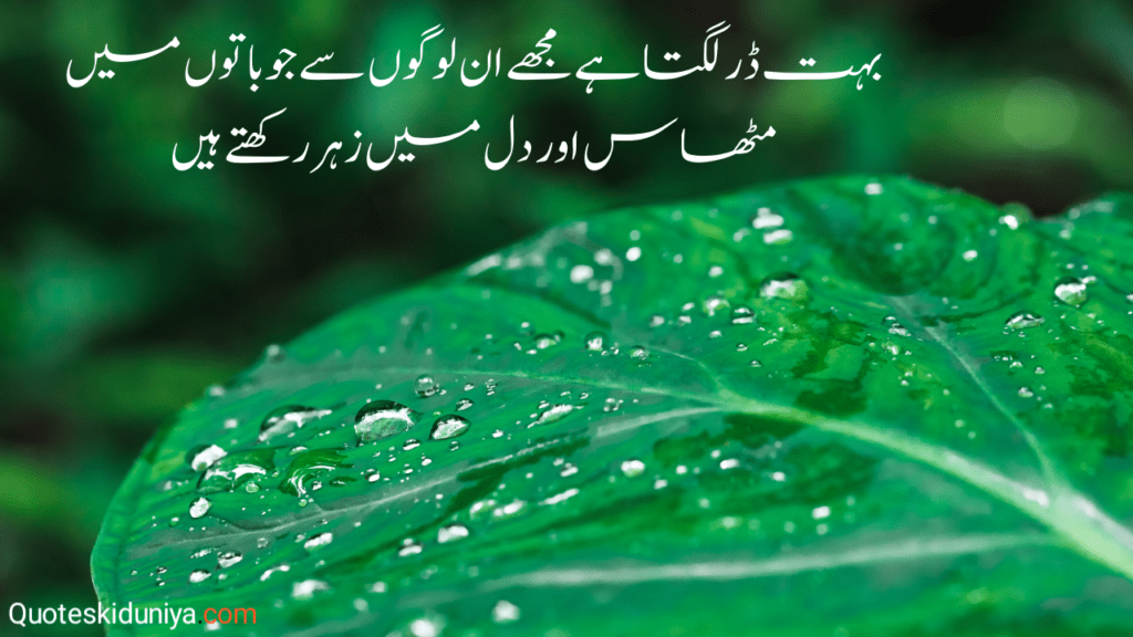 Quotes In Urdu