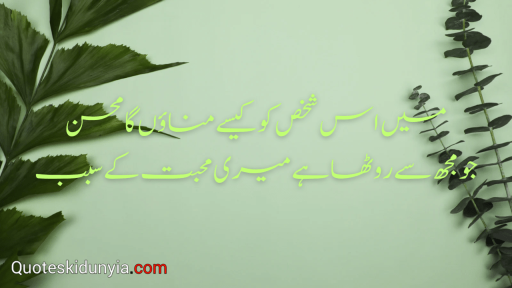 Love Motivational Quotes In Urdu